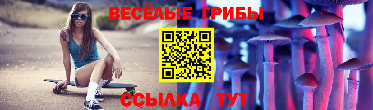 Галлюциногенные грибы Psilocybine cubensis Берёзовский